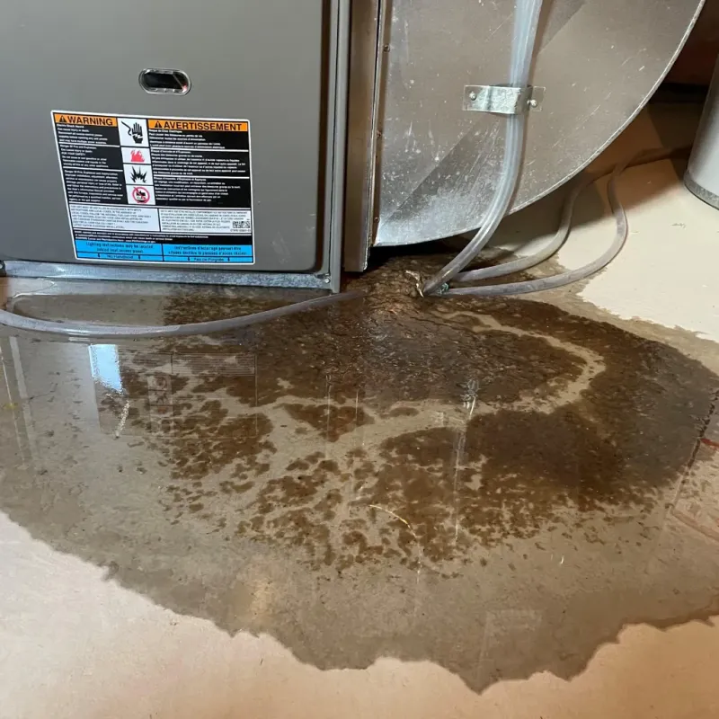 Appliance Leak Cleanup in Rutledge, TN